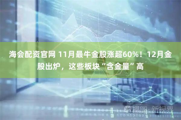 海会配资官网 11月最牛金股涨超60%！12月金股出炉，这些板块“含金量”高