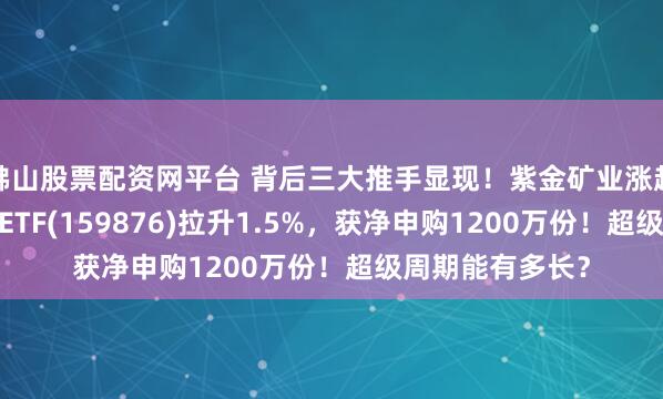 佛山股票配资网平台 背后三大推手显现！紫金矿业涨超2%，有色龙头ETF(159876)拉升1.5%，获净申购1200万份！超级周期能有多长？