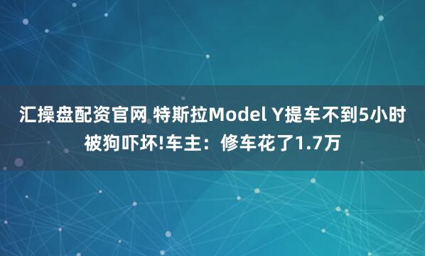 汇操盘配资官网 特斯拉Model Y提车不到5小时被狗吓坏!车主：修车花了1.7万